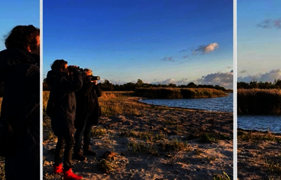 Insel-Kurztrip: Offene Insel Koos