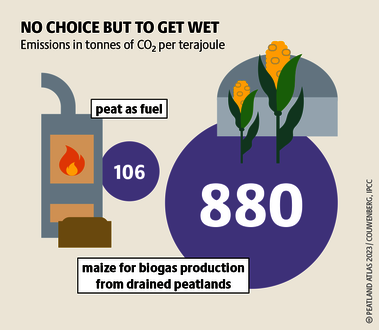 When burned, biomass from drained peatlands emits more CO₂ than fossil fuels. There is no way around it: peatlands must be rewetted. Source: Peatland atlas Böll/BUND/Succow-Stiftung