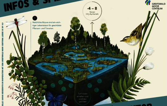 Moor-Spiele bei der Klimaaktionswoche in Greifswald 2023