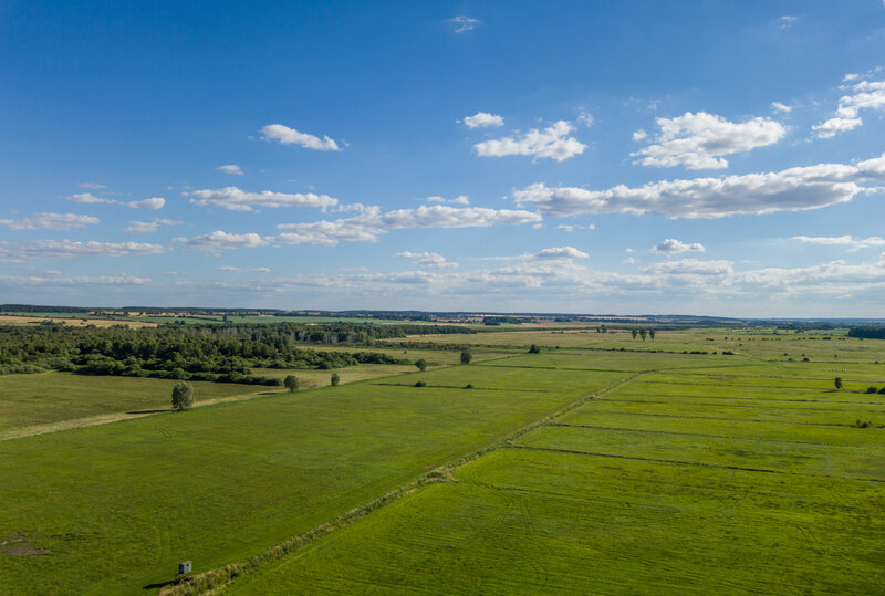 Blick von Nordosten auf den Talmoorkomplex des Kleinen Landgrabens und das NSG „Landgrabenwiesen bei Werder“ Foto: T. Dahms