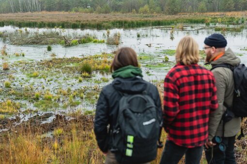 Vorprogramm der MoKKa-Abschlusstagung. Exkursion ins Grambower Moor, geleitet von Karsten Pellnitz vom Förderverein Grambower Moor e.V.. Foto: Succow Stiftung/Stephan Busse 