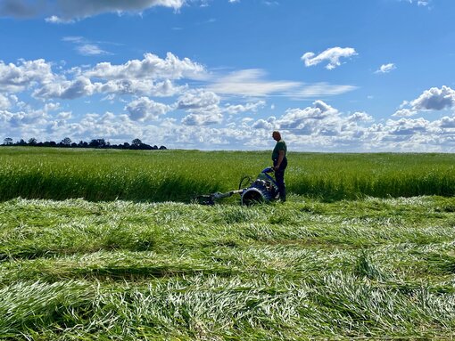 Der Brielmeier im Einsatz im Naturschutzgebiet. (c) S. Kagemann/ Michael Succow Stiftung