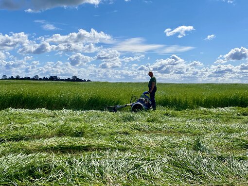 Der Brielmeier im Einsatz im Naturschutzgebiet. (c) S. Kagemann/ Michael Succow Stiftung