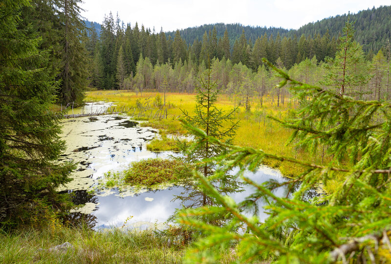 © Bulgarian Biodiversity Foundation (BBF)