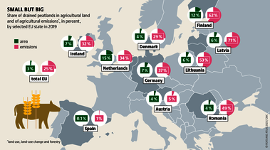 It can be very effective: in many countries, rewetting peatlands could save large amounts of agricultural emissions. Source: Peatland atlas Böll/BUND/Succow-Stiftung