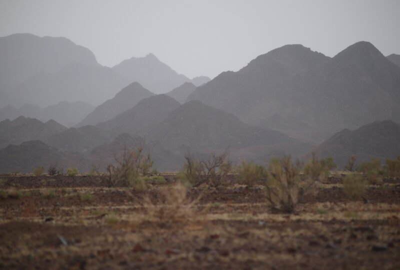 Great Gobi Photo: J. Wunderlich