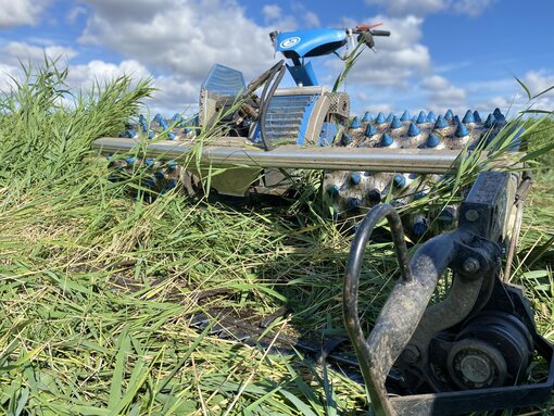 Der Brielmeier mäht sehr nasse Standorte, da er mit sogenannten Stachelwalzen aus Aluminium praktisch über das Wasser fahren kann. (c) S. Kagemann/ Michael Succow Stiftung