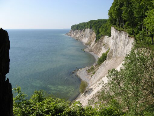 Die Kreideküste im Nationalpark Jasmund auf Rügen – ein Ergebnis des Nationalparkprogramms von 1990 (Foto: H. Knapp)