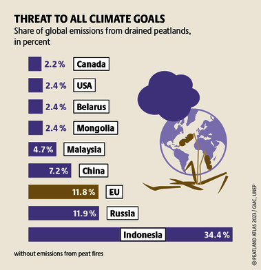 In 2015, peat fires in Indonesia released more greenhouse gases than Japan in the whole year. Source: Peatland atlas Böll/BUND/Succow-Stiftung