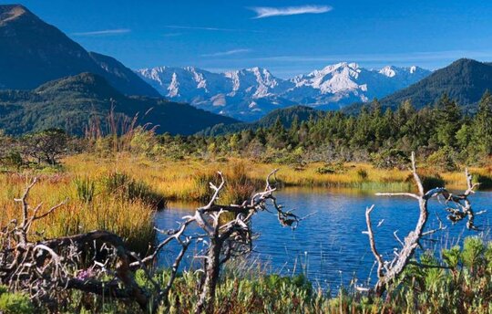 Titelbild des Moorbuches, das die wichtigsten Moore Deutschlands vorstellt.