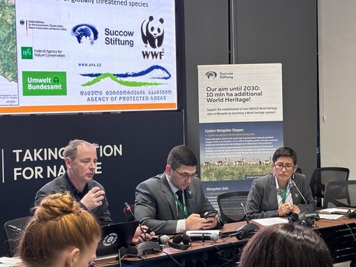 Side Event auf der CBD COP17: Weltnaturerbe als Instrument für den globalen Biodiversitätsschutz. Foto: N. Malazonia & J. Wunderlich / Michael Succow Stiftung