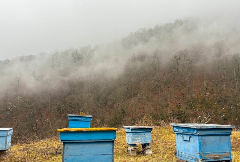 Dilijan National Park Photo: N. Malazonia/ Michael Succow Foundation