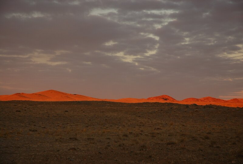 Great Gobi Photo: Dr. Petra Kacenzsky