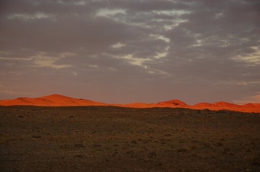 Great Gobi in dawn Photo: Dr. Petra Kacenzsky