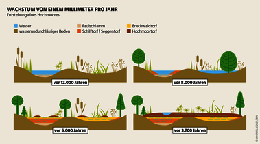 In Europa sind Moore auch Relikte der Eiszeit. Sie konnten entstehen auf Standorten mit Wasserüberschuss durch schmelzende Gletscher. Quelle: Mooratlas Böll/BUND/Succow-Stiftung