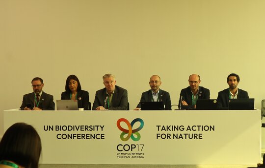 Side-Event „Beyond Protected Areas: Biosphere Reserves as Tools for KMGBF Implementation“. © J. Wunderlich / Michael Succow Stiftung