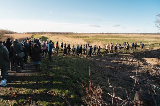 Moorexkursion mit vielen Interessierten (Foto: S. Busse)