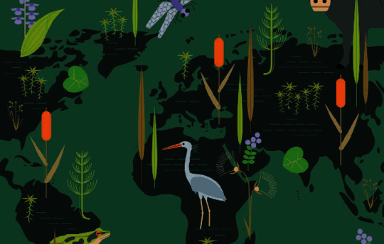 Cover Mooratlas (bild: Succow Stiftung, Heinrich-Bpll-Stiftung, BUND)