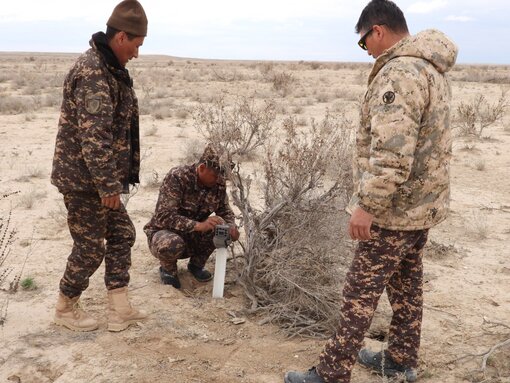 Camera traps have been set up for the first time in the border area between Uzbekistan and Kazakhstan. Photo: Nationalpark Südustjurt (Usbekistan)