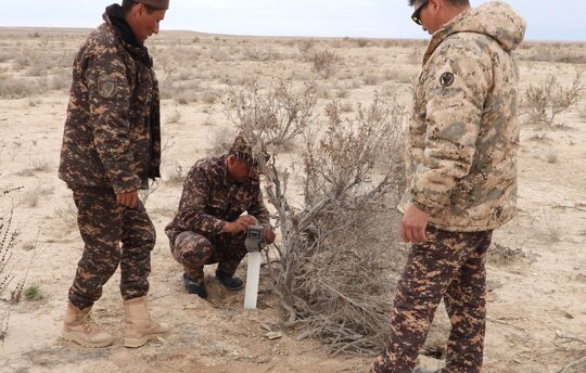 Camera traps have been set up for the first time in the border area between Uzbekistan and Kazakhstan. Photo: Nationalpark Südustjurt (Usbekistan)