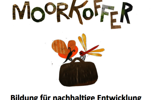 Moorkoffer (Illustration: T. Feldmann)