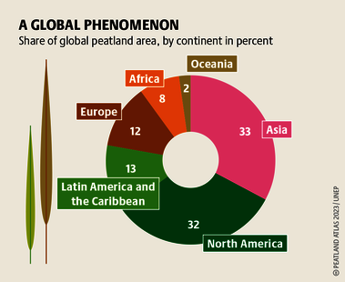 Peatlands exist in 90 percent of all countries. Many of them are located in the sparsely populated areas of Canada, Amazonia and Siberia. Source: Peatland atlas Böll/BUND/Succow-Stiftung