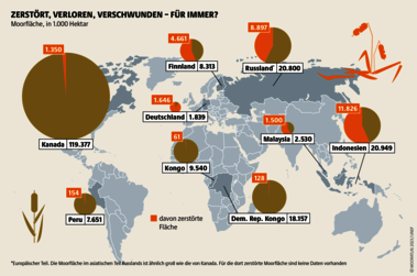 Indonesische Moore sind massiv zerstört. Seit einigen Jahren setzt die Regierung jedoch einen ambitionierten Moorschutz um, der seinesgleichen sucht. Quelle: Mooratlas Böll/BUND/Succow-Stiftung