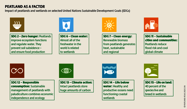 To fight inequality and overexploitation, the United Nations has committed itself to 17 sustainability goals. They can only be achieved with peatland protection. Source: Peatland atlas Böll/BUND/Succow-Stiftung