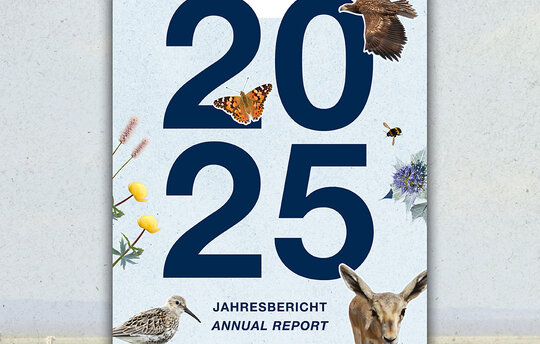 2025 Annual Report of the Succow Foundation Design: Wally Pruß