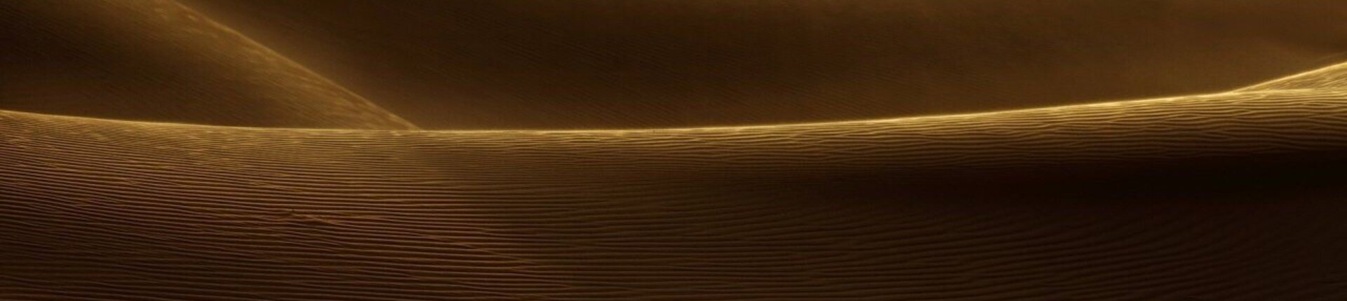 Düne in winterkalter Wüste (Photo: Oleg Kugaev)