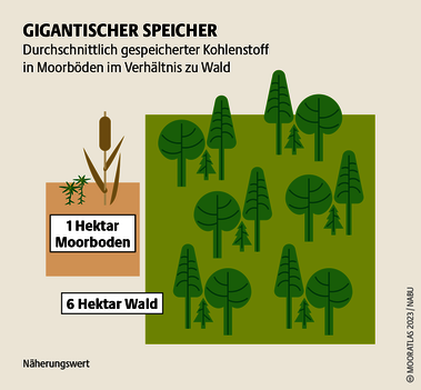 Gute torffreie Blumenerde gibt es im Baumarkt. Würde ausschließlich diese verwendet, könnte man in Deutschland 400.000 Tonnen CO₂ pro Jahr einsparen. Quelle: Mooratlas Böll/BUND/Succow-Stiftung