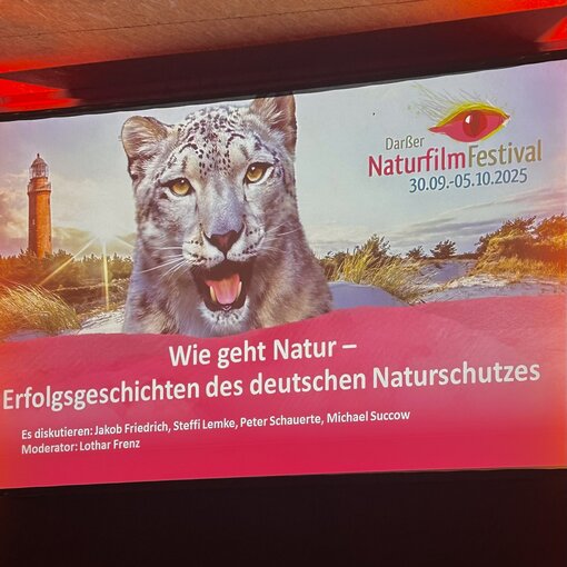 Podiumsdiskussion auf dem Darßer NaturFilmFestival gibt Einblicke in WIE GEHT NATUR?!