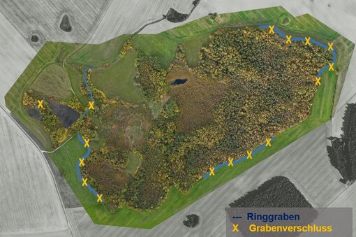 Visualisierung der ersten Baumaßnahmen im Mannhagener Moor. Foto: Michael Succow Stiftung