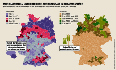 Weil ein deutscher Acker auf Moorboden im Mittel 25 Zentimenter tiefer entwässert ist als Grünland, fallen seine Emissionen höher aus. Quelle: Mooratlas Böll/BUND/Succow-Stiftung