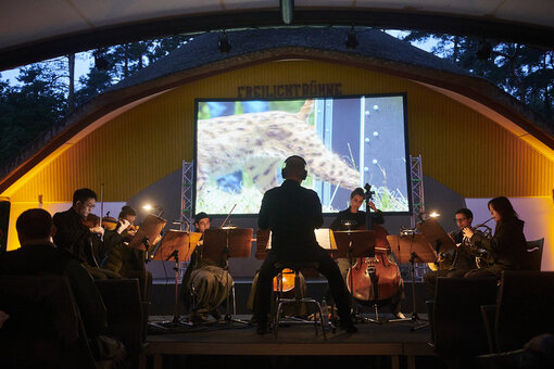 Eröffnungsfilmkonzert des Darßer NaturfilmFestival 2021