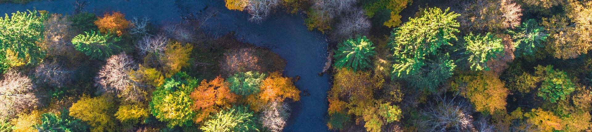 Romincka Forest from above (Photo: D. Stein)