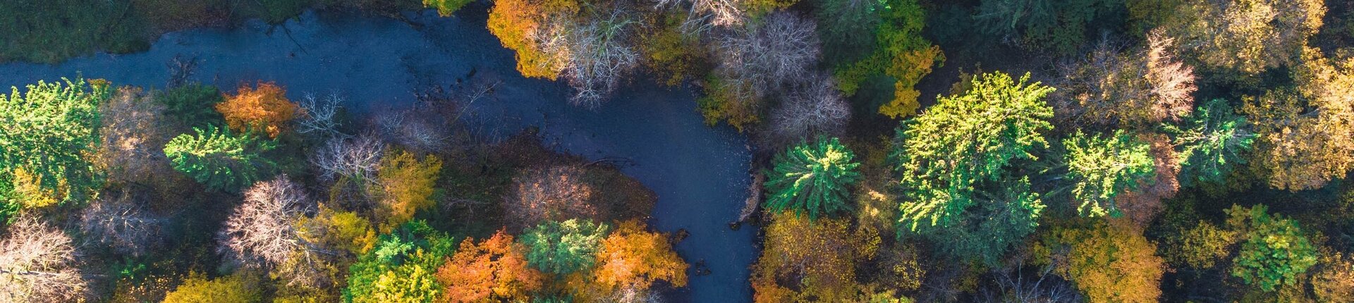 Rominter Wald von oben (Photo: Denis Stein)