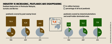 Islands and peninsulas in Southeast Asia are full of tropical peatlands. But industries pose a threat to unique ecosystems. Source: Peatland atlas Böll/BUND/Succow-Stiftung