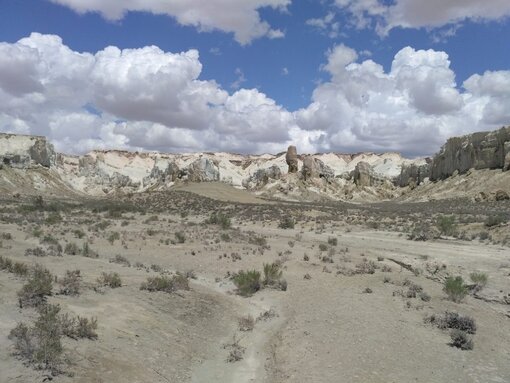 The desert ecosystems of the cold winter deserts of Turan are unique. (c) M. Gritsina