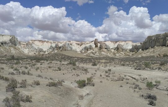 The desert ecosystems of the cold winter deserts of Turan are unique. (c) M. Gritsina