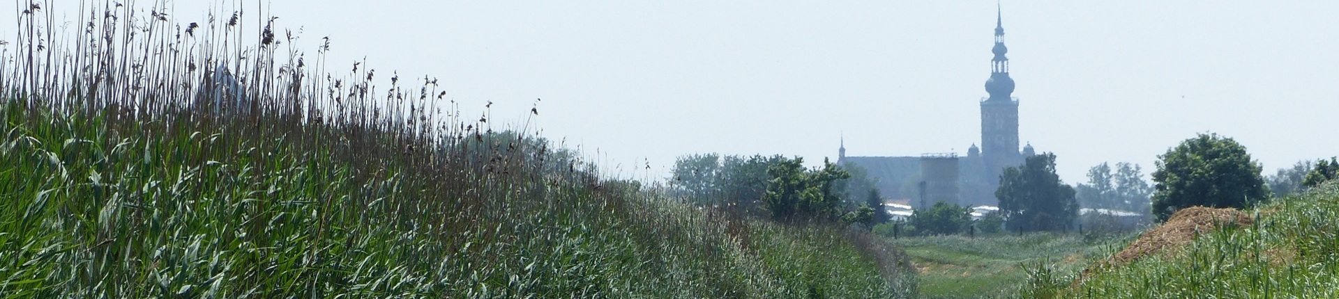 [Translate to EN:] Moore im Greifswalder Stadtgebiet (Foto: C. Lechtape)