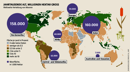 Jahrtausende alt, Millionen Hektar groß (Bild: Succow Stiftung, Heinrich-Böll-Stiftung, BUND)