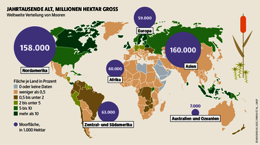 Moore sind Multitalente: Sie schützen Artenvielfalt und Klima und helfen bei Hochwasser und Dürre. Allerdings nur im intakten oder naturnahen Zustand. Quelle: Mooratlas Böll/BUND/Succow-Stiftung