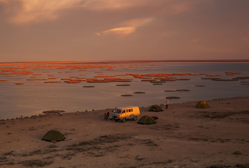 Photo: O. Kugaev