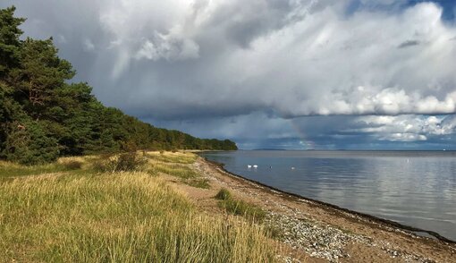 Viele Jahre stand der Dünenwall am Palmer Ort als Flächennaturdenkmal unter Naturschutz. Der Lebensraum vor Ort hat sich nun ein weiteres Mal in seiner geologischen Geschichte verändert. Foto: Michael Succow Stiftung