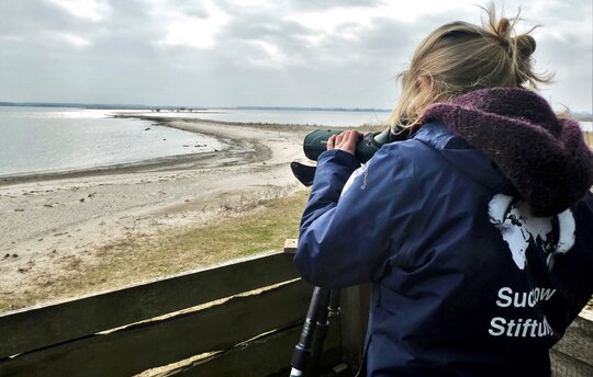 Auf der Führung der Succow Stiftung durch die Karrendorfer Wiesen wird u. a. die Vogelwelt beobachtet. © Michael Succow Stiftung
