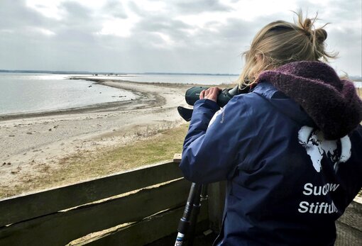 Auf der Führung der Succow Stiftung durch die Karrendorfer Wiesen wird u. a. die Vogelwelt beobachtet. © Michael Succow Stiftung