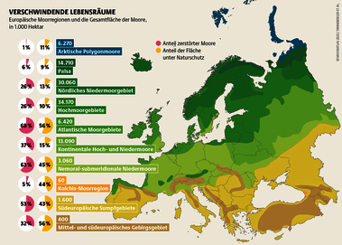 1,8 Millionen Hektar natürliche Moore gab es einst in Deutschland. Ein Großteil davon ist zerstört. 70 Prozent aller Moorpflanzen stehen vor dem Aussterben. Quelle: Mooratlas Böll/BUND/Succow-Stiftung