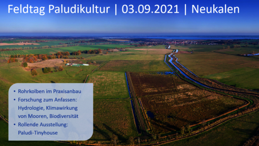 Save the Date: Feldtag Paludikultur 