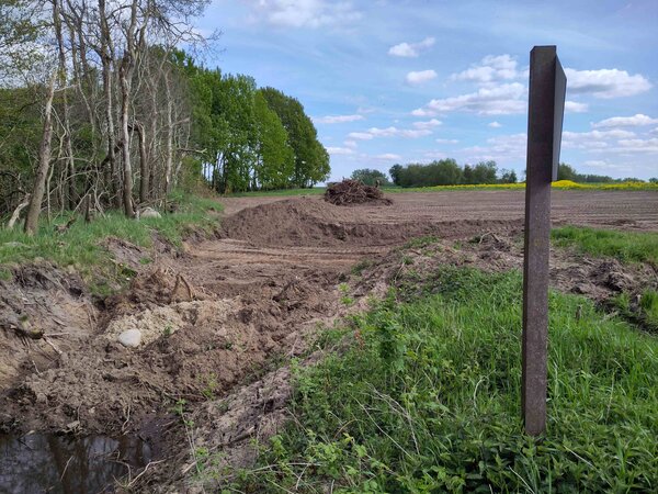 Die letzten Meter Grabenverschluss im Mannhagener Moor. Foto: N. Seifert/Michael Succow Stiftung